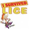 Leon County Florida Lice Removal Treatment Center for Children and Adults Picture
