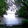 Investment Property, Manatee Peninsula, Dominican Republic Picture